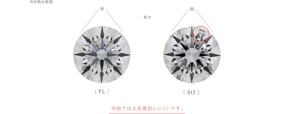 内包物比較図