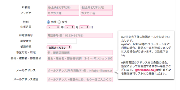 お客様情報入力