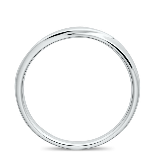 PT950 シャンタン リング 2.0mm 4-14