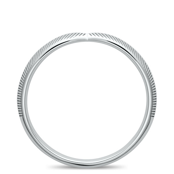 PT950 ソリーフ リング 2.5mm 4-14