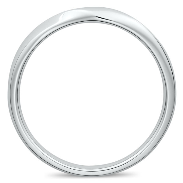 PT950 ラック リング 2.7mm 4-14